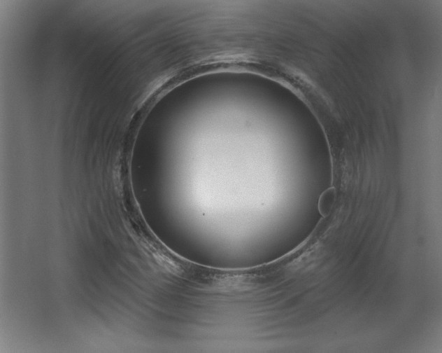 X0000068291162200604211129