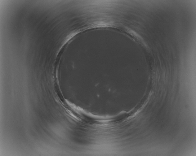 X0000068291170200604211129