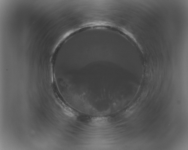 X0000068291171200604211129