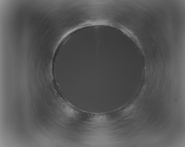 X0000068291174200604211129