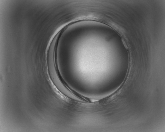 X0000068291200200604211129
