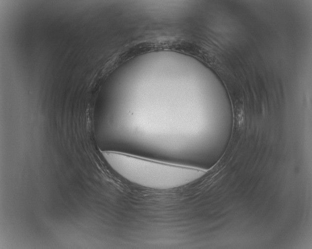 X0000068291204200604211128
