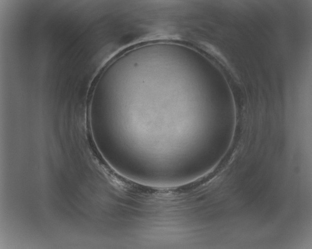 X0000068291220200604211128