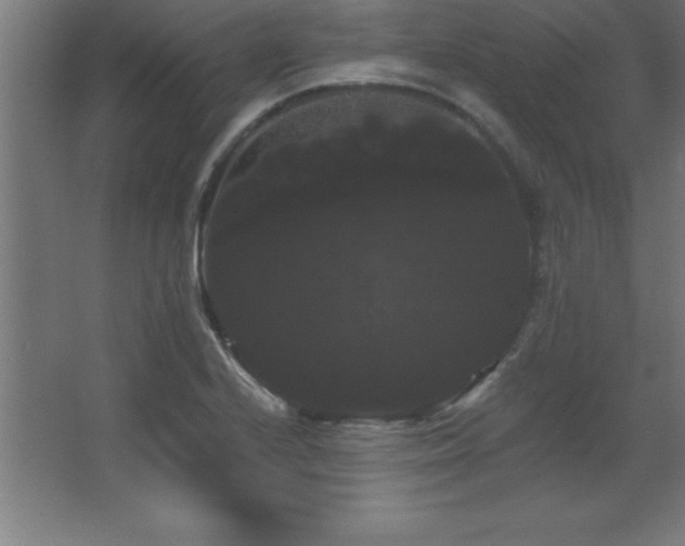 X0000068291224200604211128