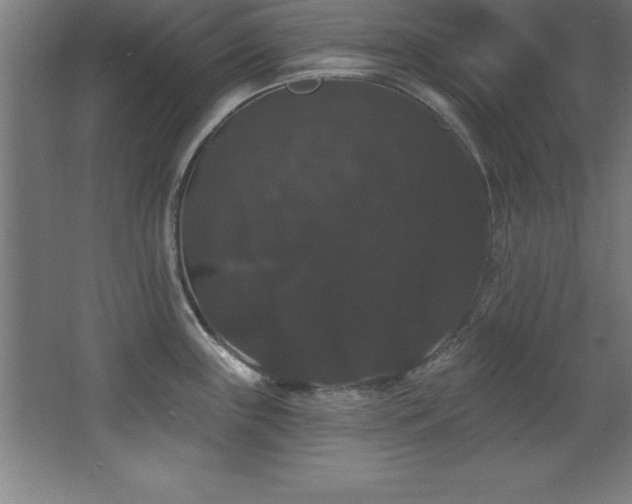 X0000068291243200604211129