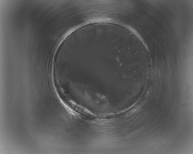 X0000068291245200604211129