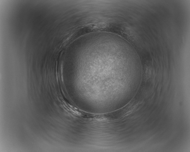 X0000068291250200604211128