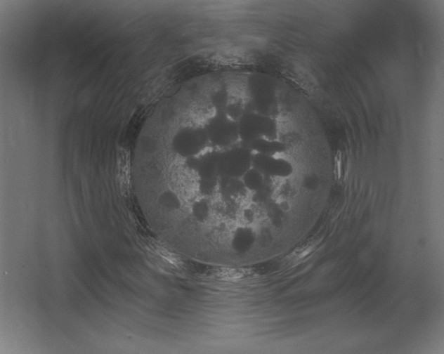 X0000068291251200604211128