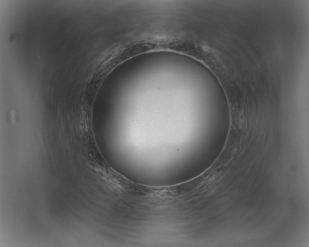 X0000068291253200604211128