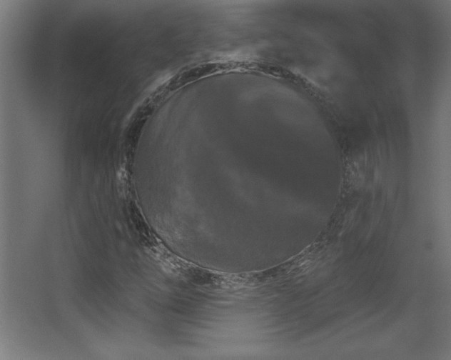X0000068291254200604211128