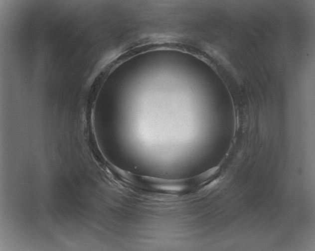 X0000068291261200604211128