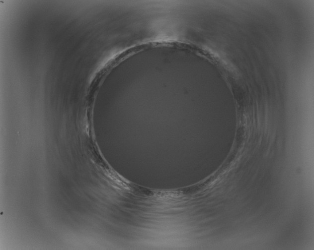 X0000068291262200604211128