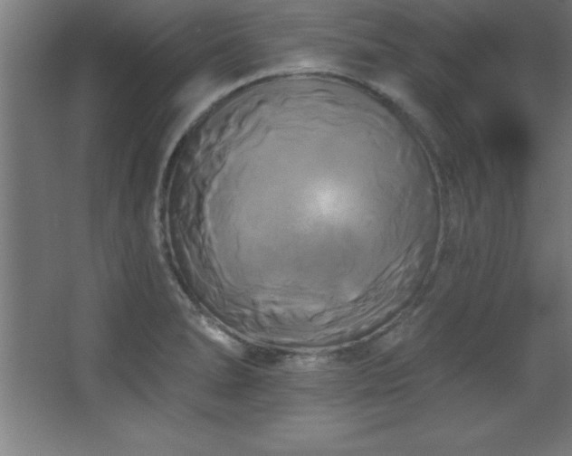X0000068291278200604211127