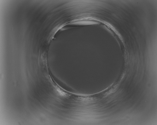 X0000068291289200604211127