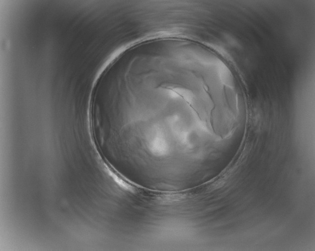 X0000068291294200604211127