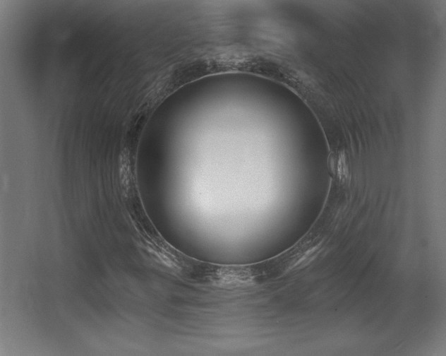 X0000068291299200604211126