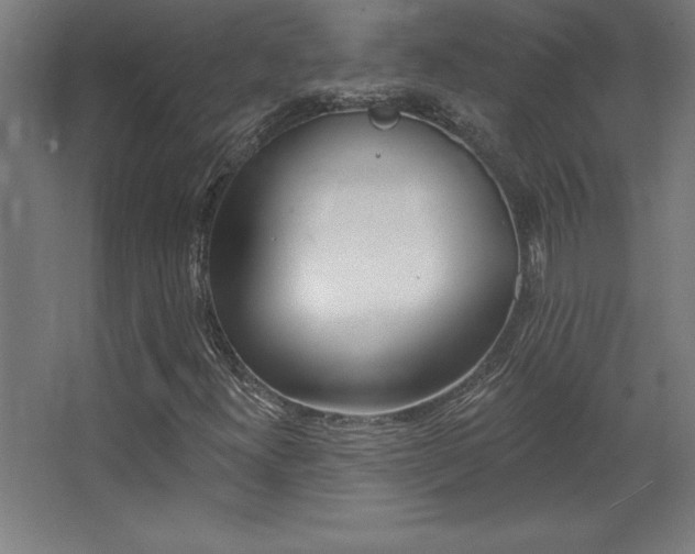 X0000068291300200604211126