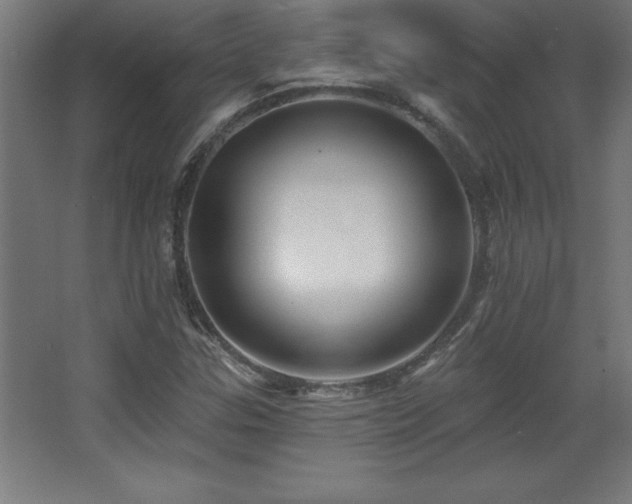 X0000068291307200604211126