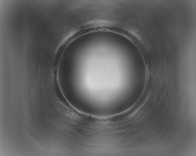X0000068291309200604211126