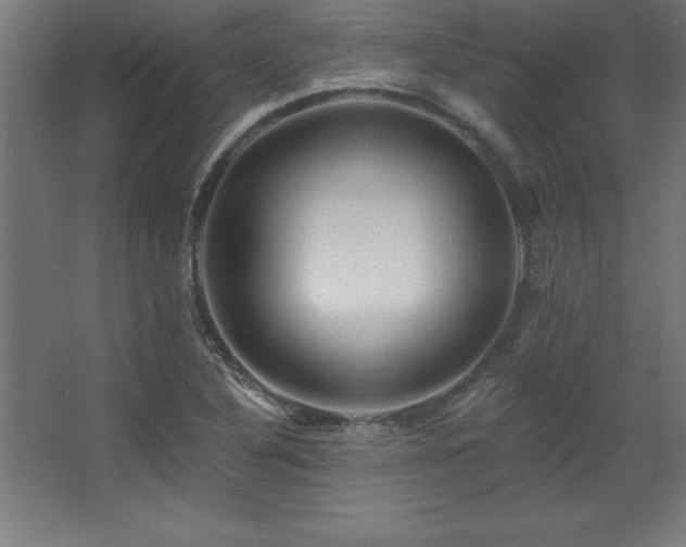 X0000068291316200604211127