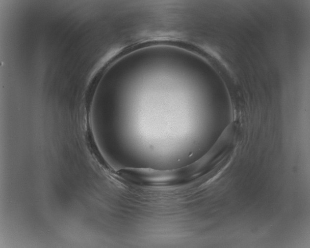 X0000068291317200604211127