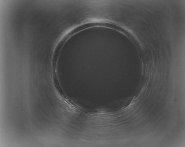 X0000068291319200604211127