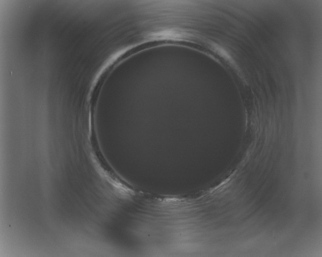 X0000068291323200604211127