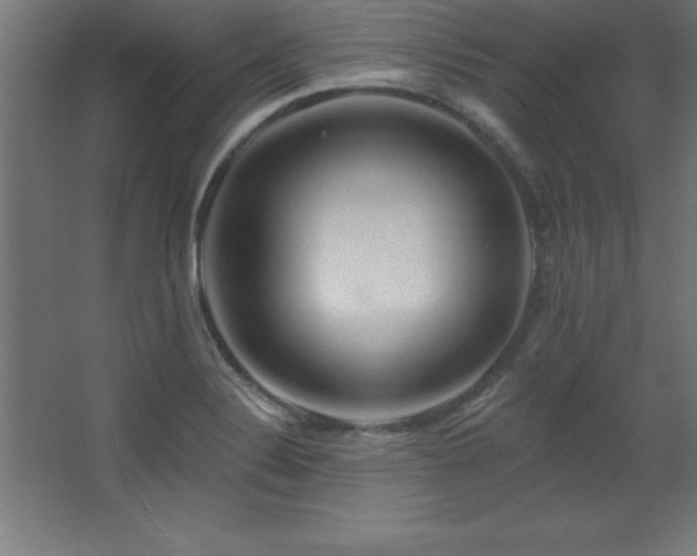 X0000068291324200604211127