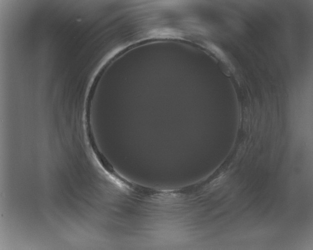 X0000068291331200604211127