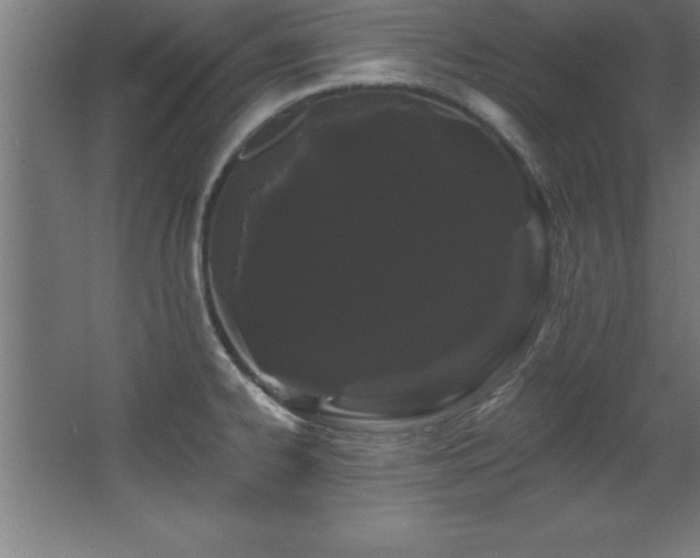X0000068291334200604211127