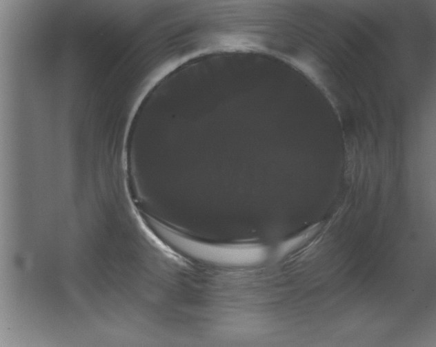 X0000068291335200604211127