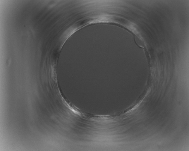 X0000068291337200604211127