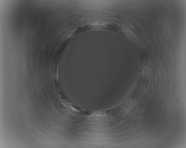 X0000068291346200604211126