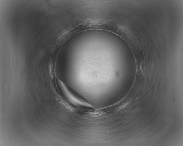 X0000068291348200604211126