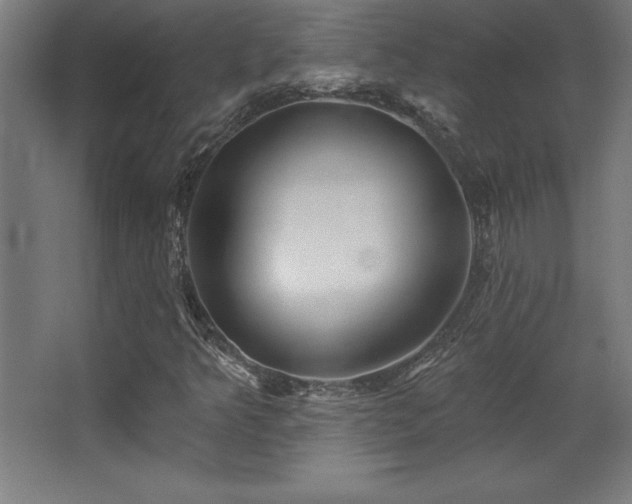 X0000068291349200604211126