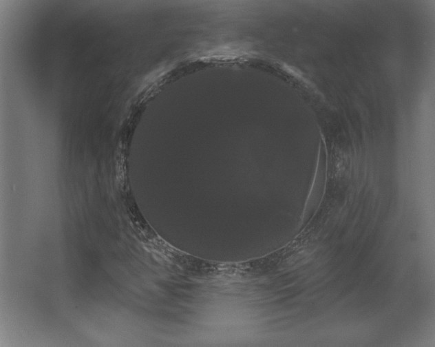 X0000068291350200604211126