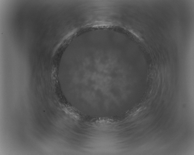 X0000068291351200604211126
