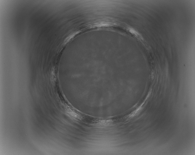X0000068291353200604211126