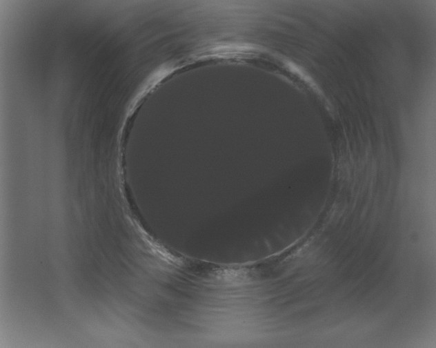 X0000068291362200604211126