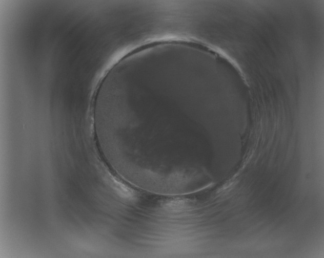 X0000068291367200604211126