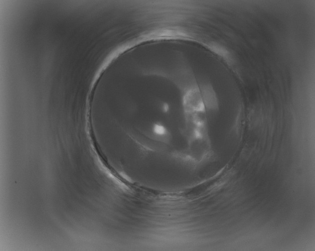 X0000068291374200604211126