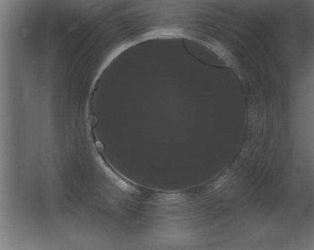 X0000068291382200604211126