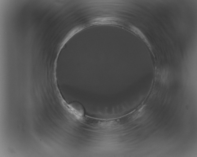 X0000068291386200604211126