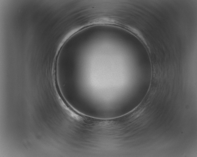 X0000068291387200604211126