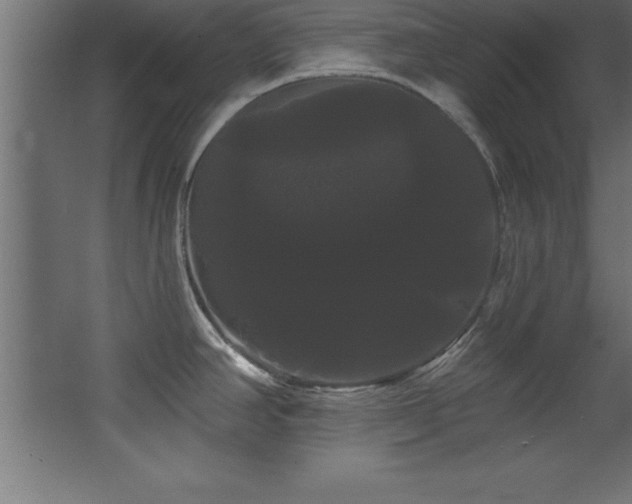 X0000068291390200604211126