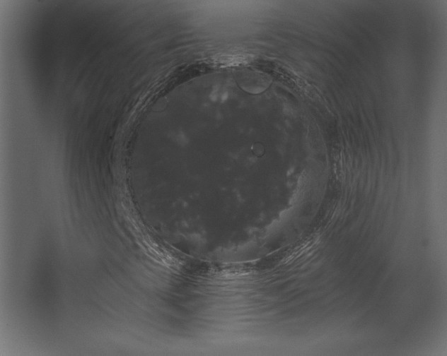 X0000068291393200604211125