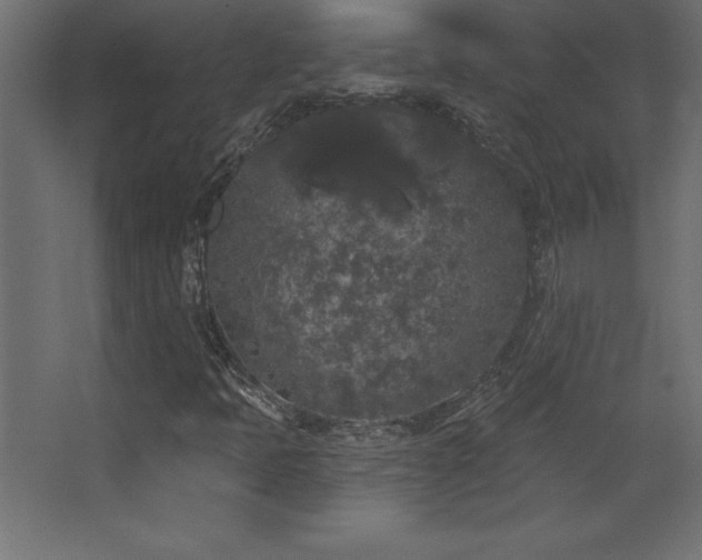 X0000068291397200604211125