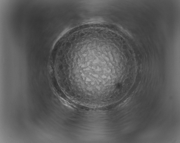 X0000068291400200604211125