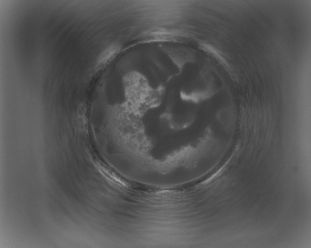 X0000068291403200604211125