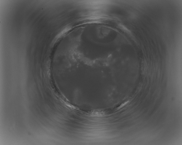 X0000068291411200604211125